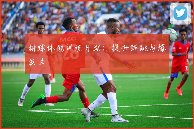 排球体能训练计划：提升弹跳与爆发力